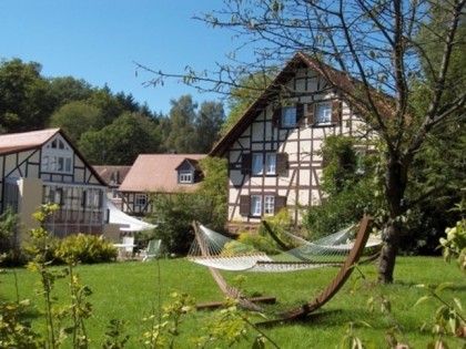 Photo: Damm&amp;uuml;hle